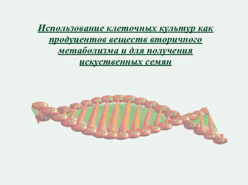Использование клеточных культур как продуцентов веществ вторичного метаболизма и для получения искуственных семян 