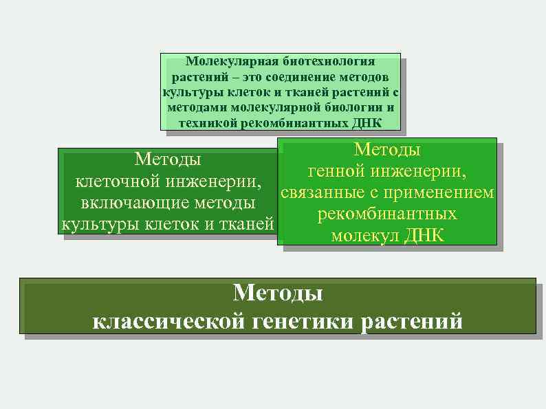 Молекулярная биотехнология растений – это соединение методов культуры клеток и тканей растений с методами