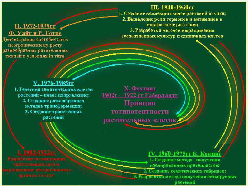 III. 1940 -1960 гг II. 1932 -1939 гг Ф. Уайт и Р. Готре Демонстрация