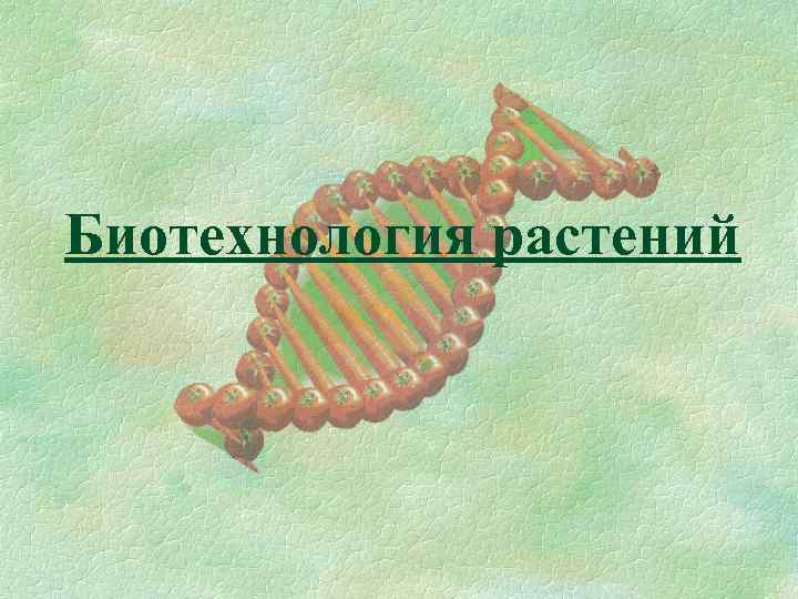 Биотехнология растений 