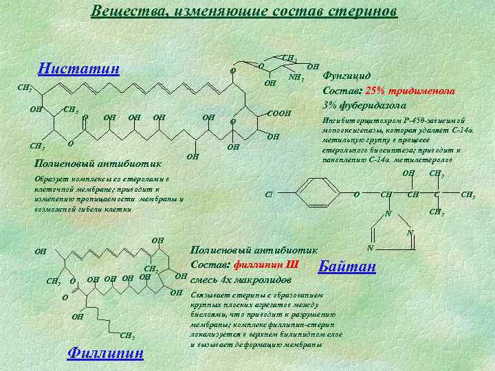 Вещества, изменяющие состав стеринов Нистатин O CH 3 O OH OH OH Полиеновый антибиотик