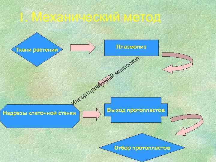 1. Механический метод Плазмолиз Ткани растений п о ск о й ы нн р