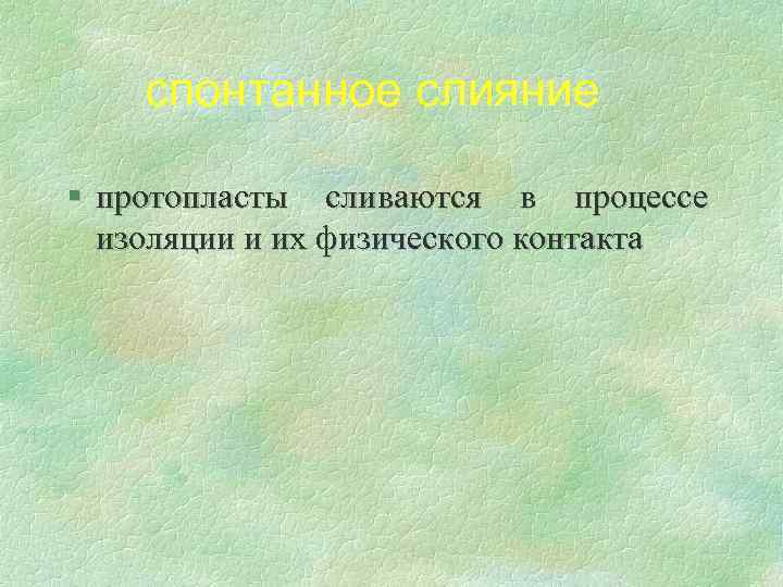 спонтанное слияние § протопласты сливаются в процессе изоляции и их физического контакта 