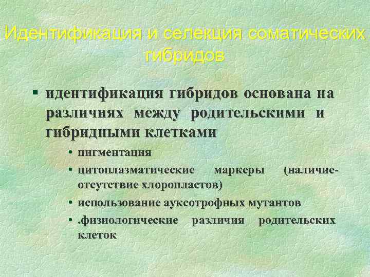 Идентификация и селекция соматических гибридов § идентификация гибридов основана на различиях между родительскими и