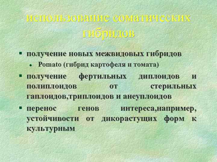 использование соматических гибридов § получение новых межвидовых гибридов l Pomato (гибрид картофеля и томата)