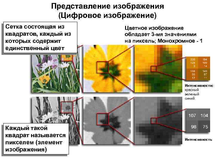 Графика с представлением изображения