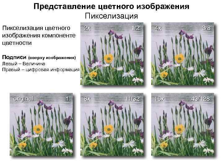 Представление цветного изображения Пикселизация цветного изображения компоненте цветности Подписи (вверху изображения) Левый – Величина
