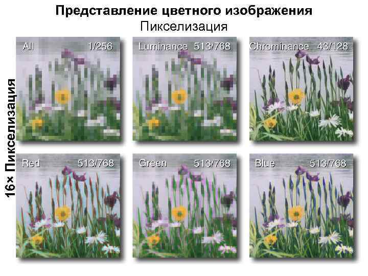 16× Пикселизация Представление цветного изображения Пикселизация 