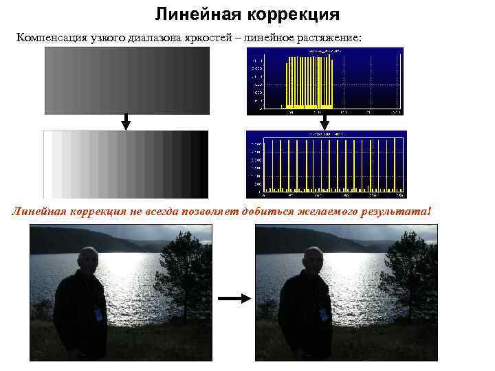 Типы узлов в компьютерной графике