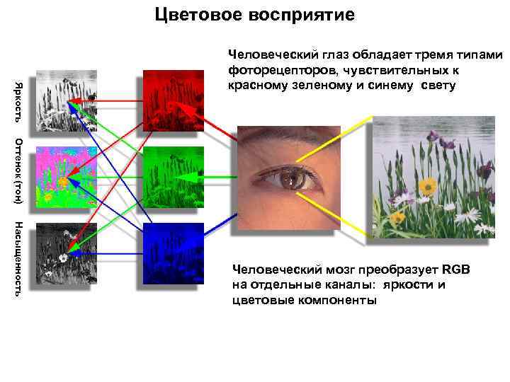 Типы узлов в компьютерной графике