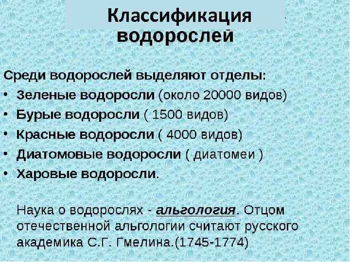 Классификация 