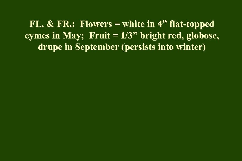 FL. & FR. : Flowers = white in 4” flat-topped cymes in May; Fruit
