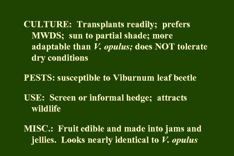 CULTURE: Transplants readily; prefers MWDS; sun to partial shade; more adaptable than V. opulus;