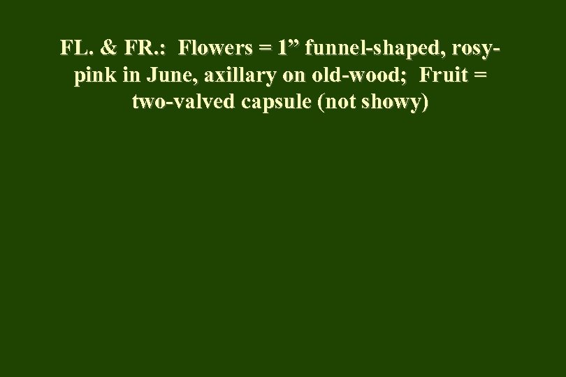 FL. & FR. : Flowers = 1” funnel-shaped, rosypink in June, axillary on old-wood;