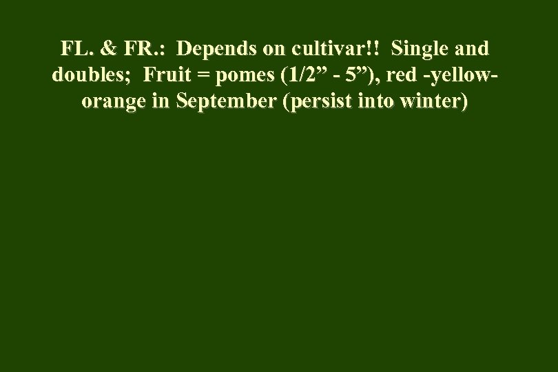 FL. & FR. : Depends on cultivar!! Single and doubles; Fruit = pomes (1/2”