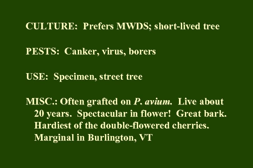 CULTURE: Prefers MWDS; short-lived tree PESTS: Canker, virus, borers USE: Specimen, street tree MISC.