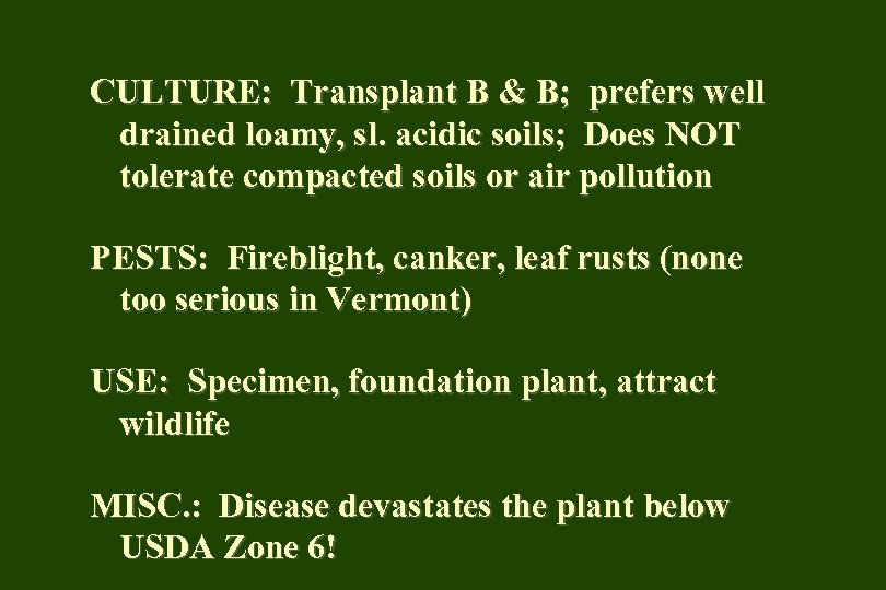 CULTURE: Transplant B & B; prefers well drained loamy, sl. acidic soils; Does NOT