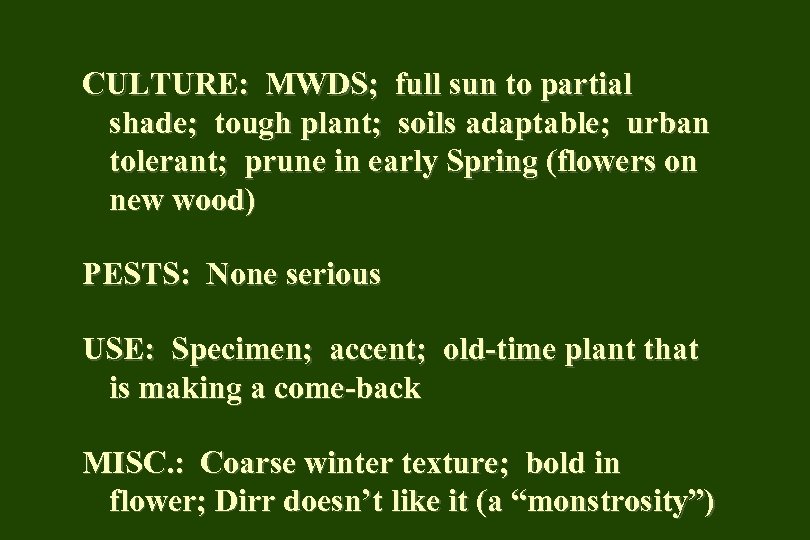 CULTURE: MWDS; full sun to partial shade; tough plant; soils adaptable; urban tolerant; prune