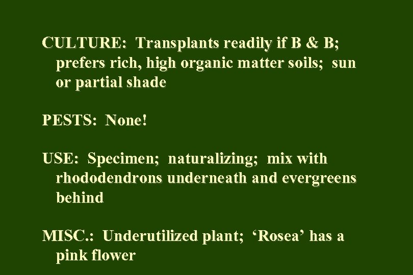 CULTURE: Transplants readily if B & B; prefers rich, high organic matter soils; sun