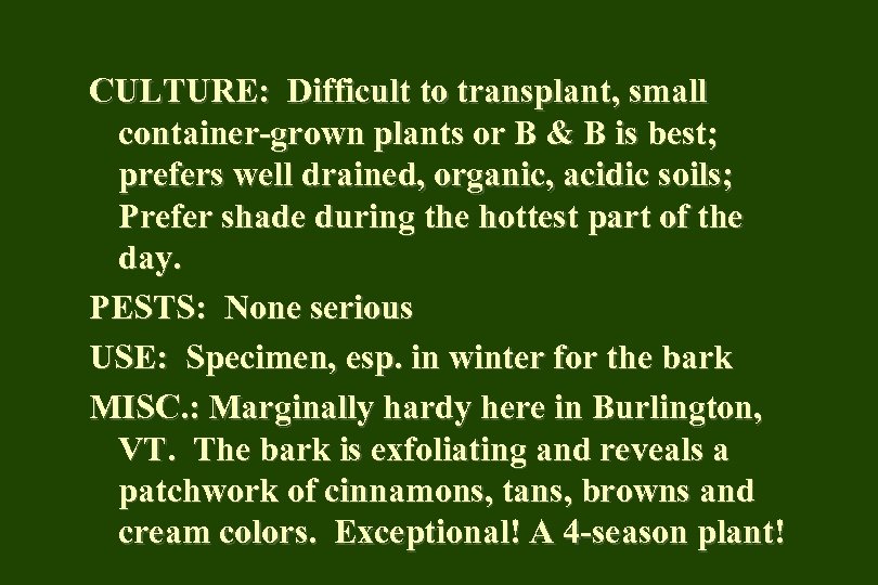 CULTURE: Difficult to transplant, small container-grown plants or B & B is best; prefers