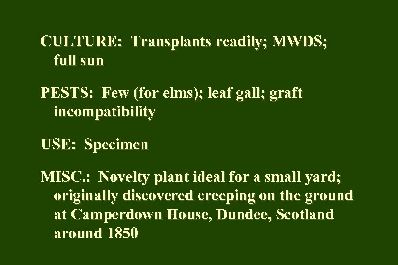 CULTURE: Transplants readily; MWDS; full sun PESTS: Few (for elms); leaf gall; graft incompatibility