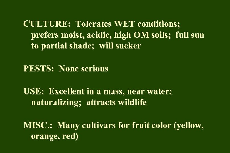 CULTURE: Tolerates WET conditions; prefers moist, acidic, high OM soils; full sun to partial