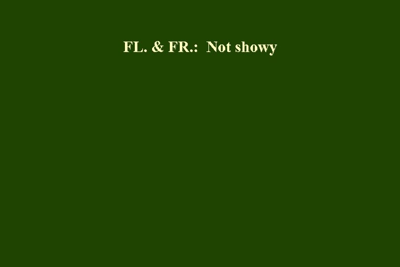 FL. & FR. : Not showy 