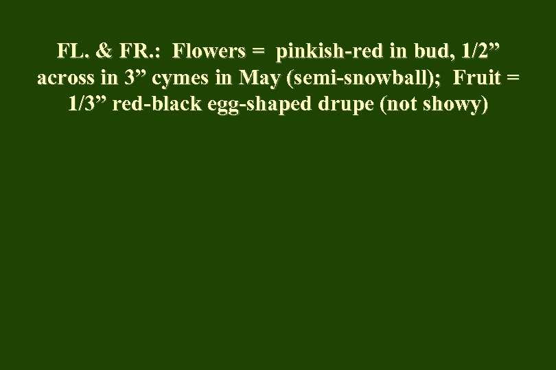 FL. & FR. : Flowers = pinkish-red in bud, 1/2” across in 3” cymes