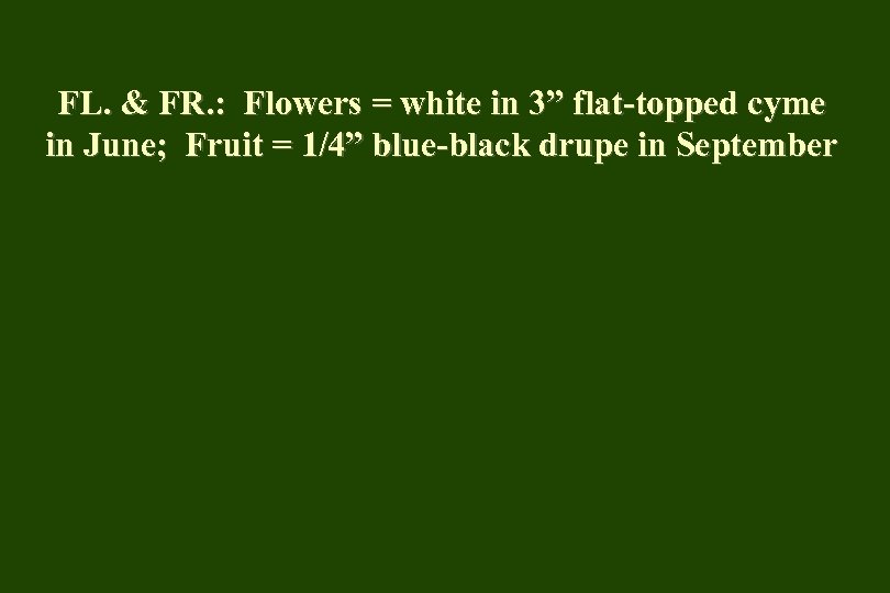 FL. & FR. : Flowers = white in 3” flat-topped cyme in June; Fruit