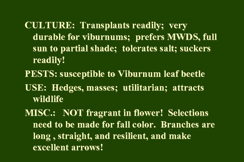 CULTURE: Transplants readily; very durable for viburnums; prefers MWDS, full sun to partial shade;