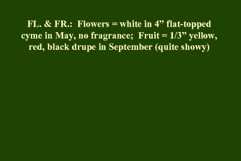 FL. & FR. : Flowers = white in 4” flat-topped cyme in May, no