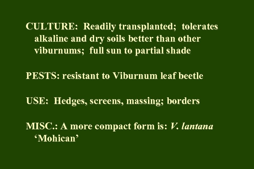 CULTURE: Readily transplanted; tolerates alkaline and dry soils better than other viburnums; full sun