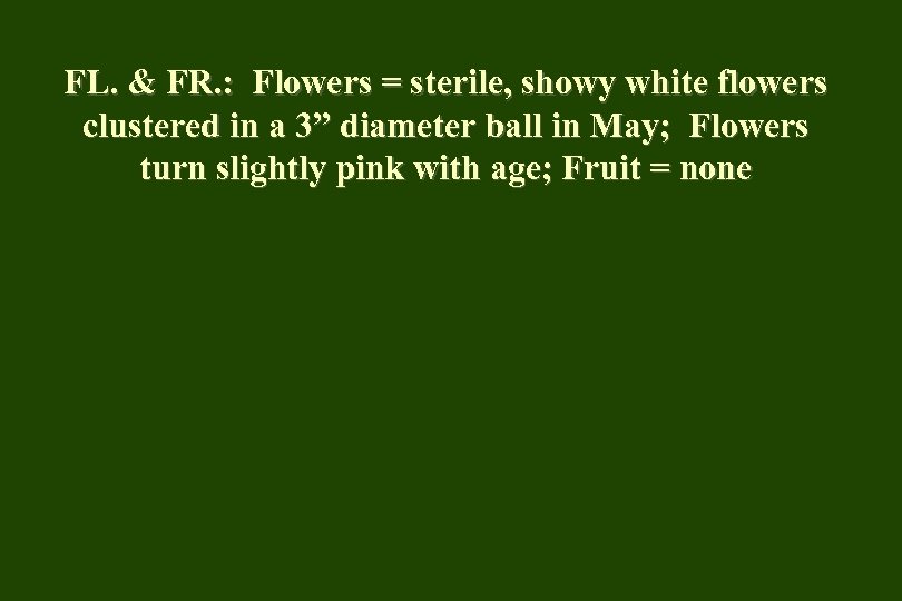 FL. & FR. : Flowers = sterile, showy white flowers clustered in a 3”