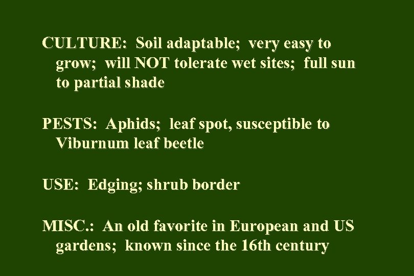 CULTURE: Soil adaptable; very easy to grow; will NOT tolerate wet sites; full sun