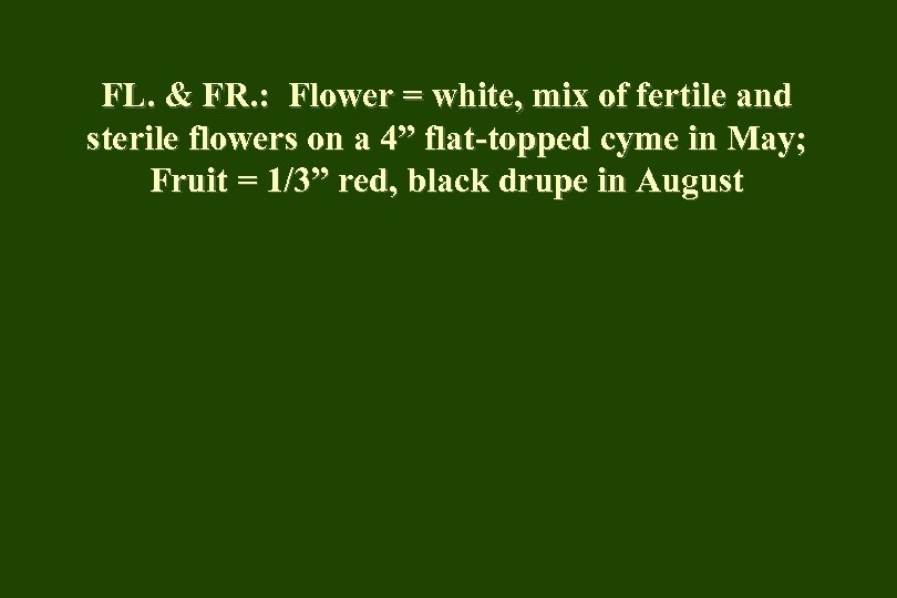 FL. & FR. : Flower = white, mix of fertile and sterile flowers on