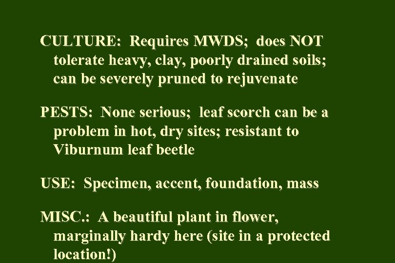 CULTURE: Requires MWDS; does NOT tolerate heavy, clay, poorly drained soils; can be severely