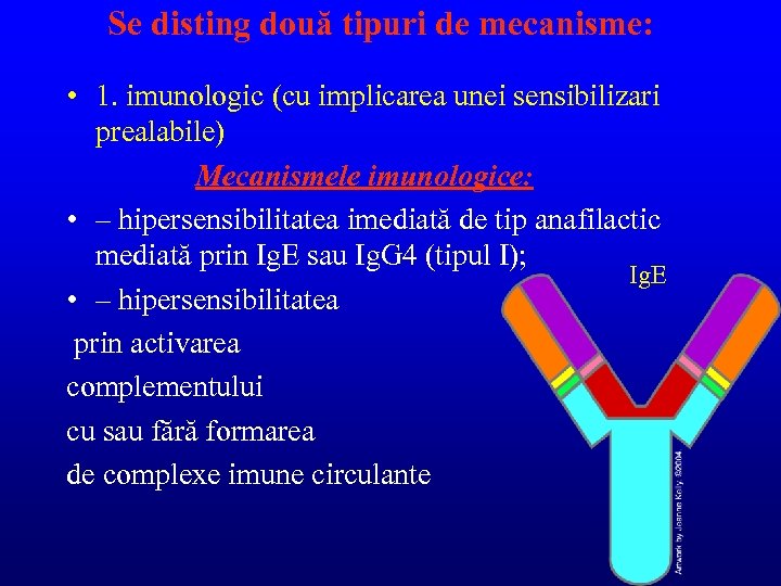 Se disting două tipuri de mecanisme: • 1. imunologic (cu implicarea unei sensibilizari prealabile)