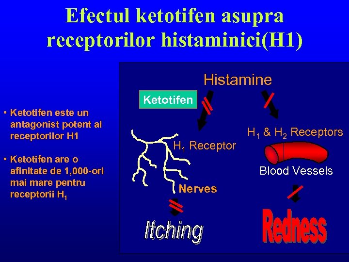 Efectul ketotifen asupra receptorilor histaminici(H 1) Histamine Ketotifen • Ketotifen este un antagonist potent
