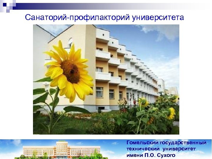 Санаторий-профилакторий университета Гомельский государственный технический университет имени П. О. Сухого 