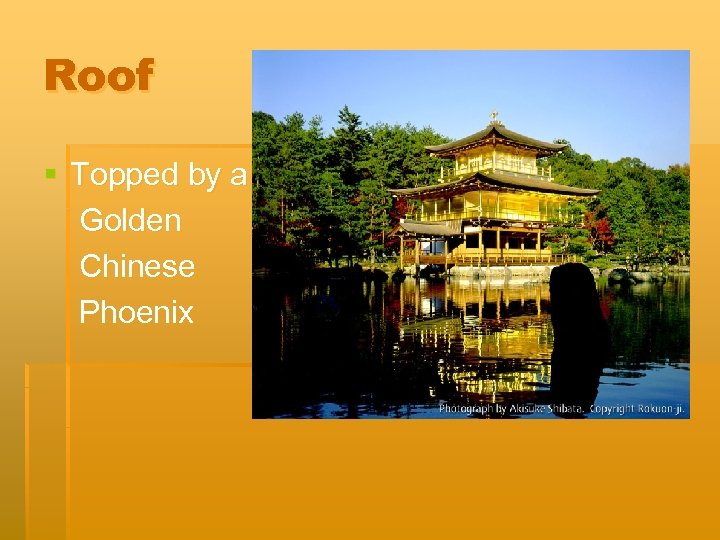 Roof § Topped by a Golden Chinese Phoenix 