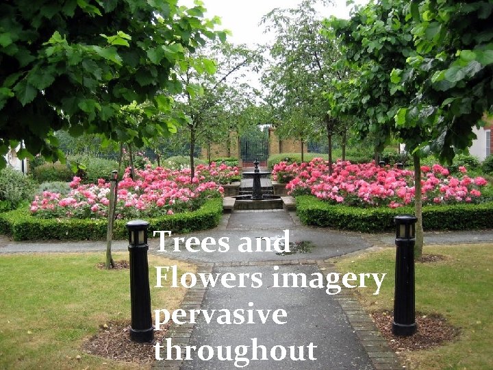Trees and Flowers imagery pervasive throughout 
