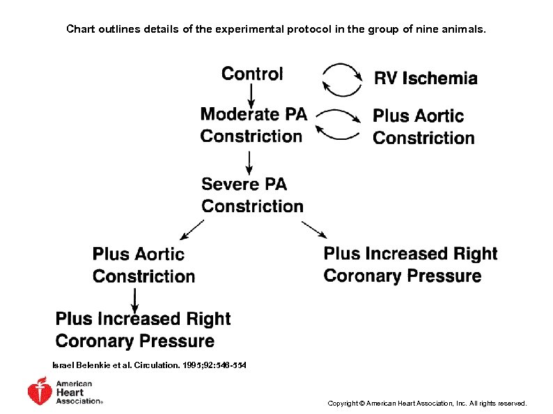 Chart outlines details of the experimental protocol in the group of nine animals. Israel