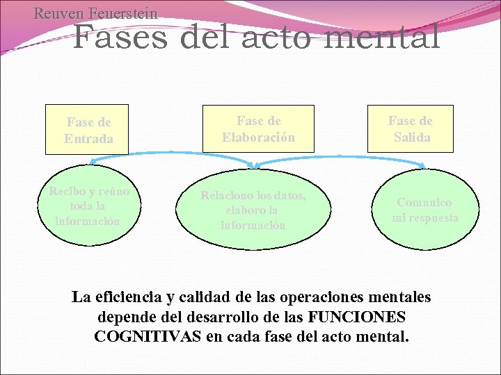 Reuven Feuerstein Fases del acto mental Fase de Entrada Recibo y reúno toda la