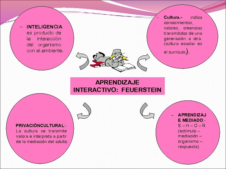 - – INTELIGENCIA es producto de la interacción del organismo con el ambiente. Cultura.