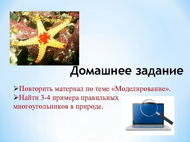 Домашнее задание ØПовторить материал по теме «Моделирование» . ØНайти 3 -4 примера правильных многоугольников