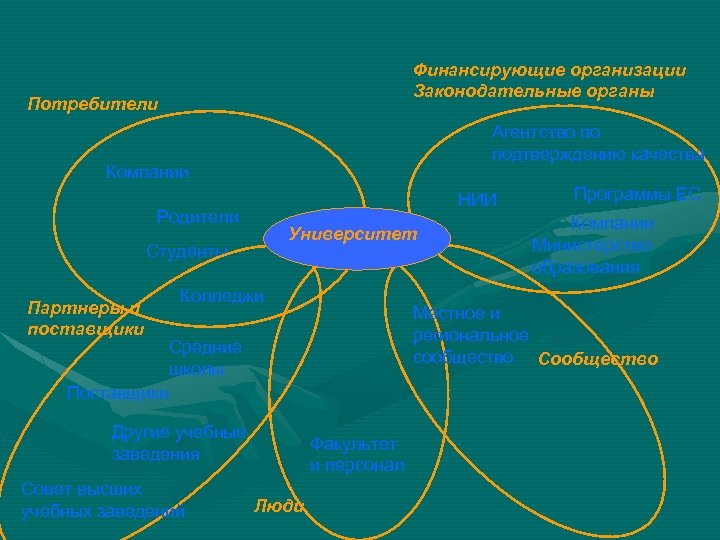 Финансирующие организации Законодательные органы Потребители Агентство по подтверждению качества Компании НИИ Родители Университет Студенты