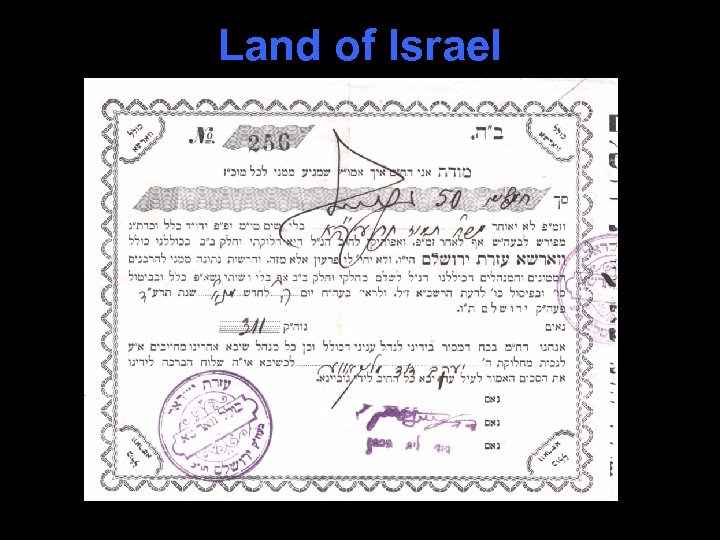 Land of Israel 
