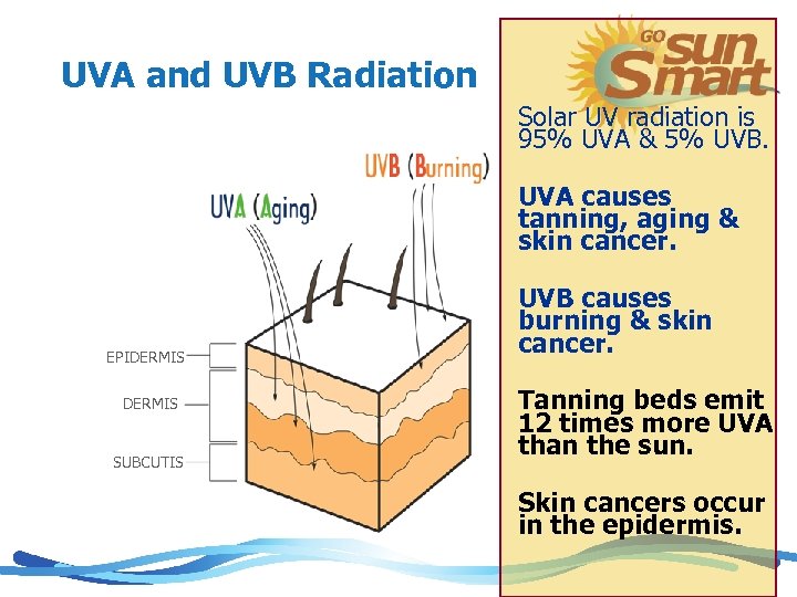 UVA and UVB Radiation Solar UV radiation is 95% UVA & 5% UVB. UVA