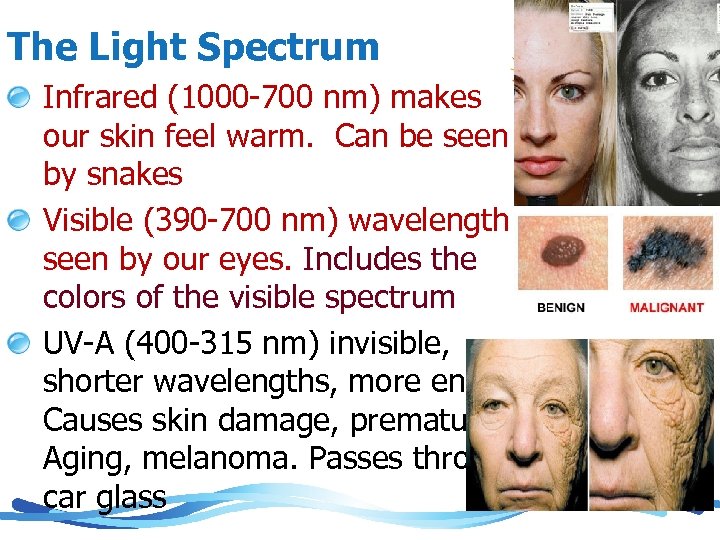 The Light Spectrum Infrared (1000 -700 nm) makes our skin feel warm. Can be