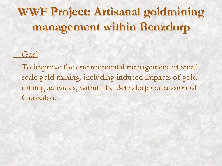 WWF Project: Artisanal goldmining management within Benzdorp Goal To improve the environmental management of